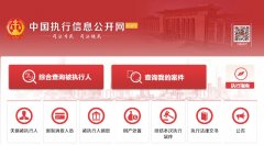 中国施行消息公开网查询系统